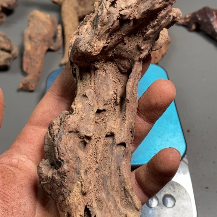 黄花梨/降香黄檀飞*扬