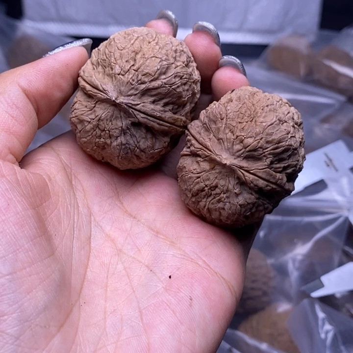 核桃云南野生铁核桃56号42mm