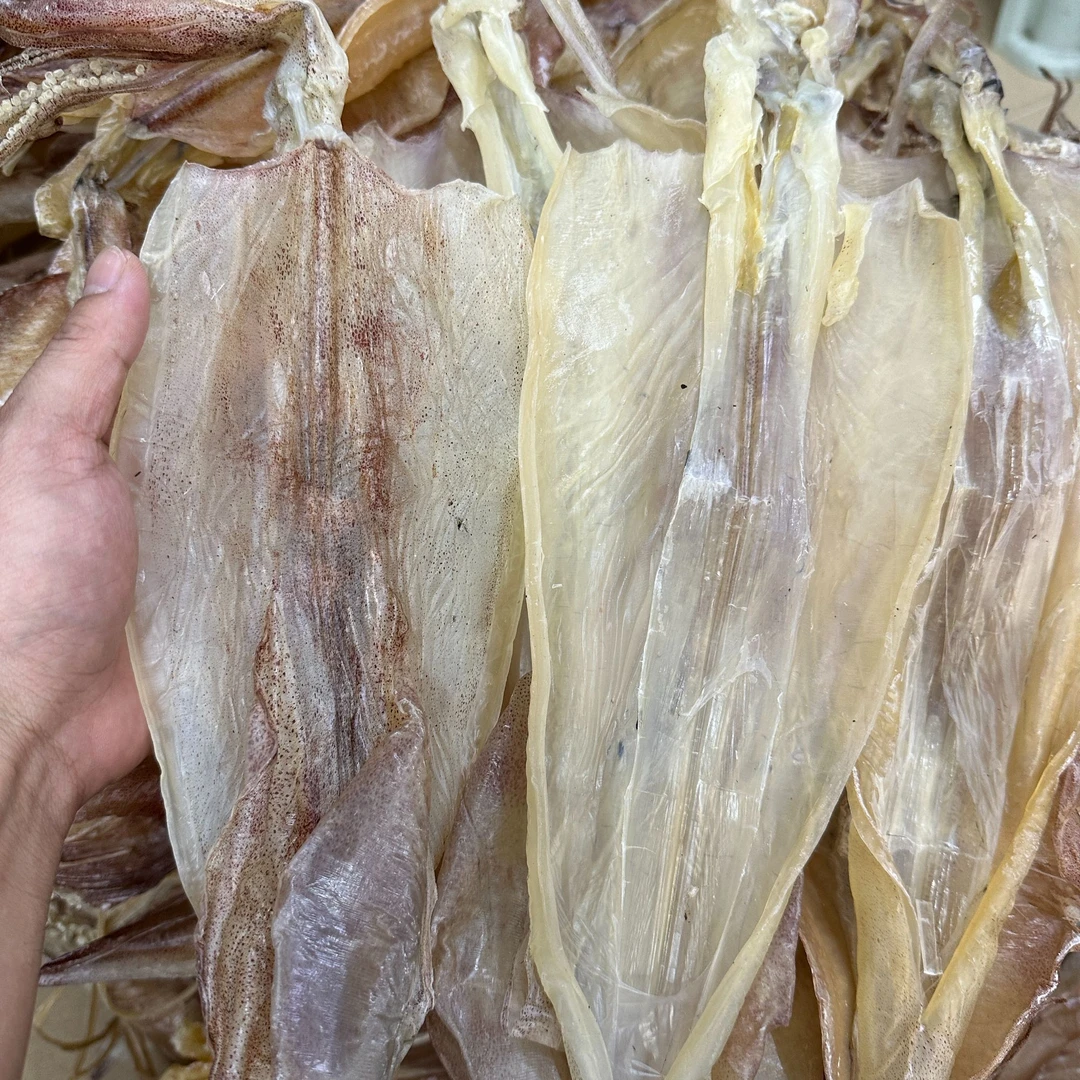 汕尾本港船晒鱿鱼干炒菜烧烤煮粥佳品