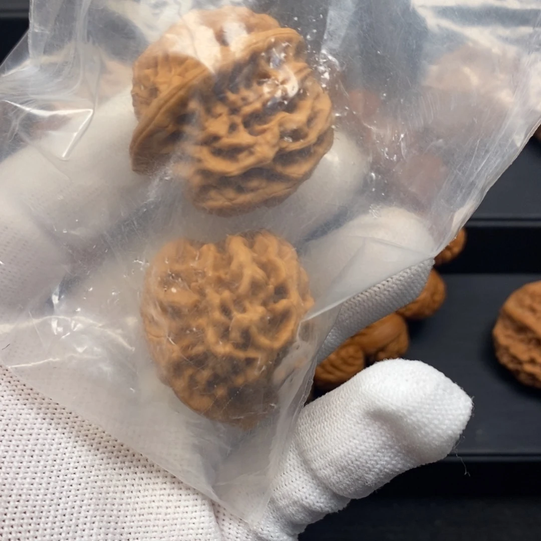 大****?秦岭森林茂密地栖息其中