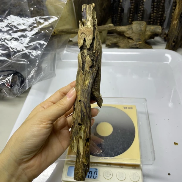 虫漏摆件可熏香茶道摆放文玩创意手把件香薰料46g