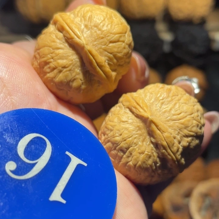 鸽子蛋核桃尺寸大32