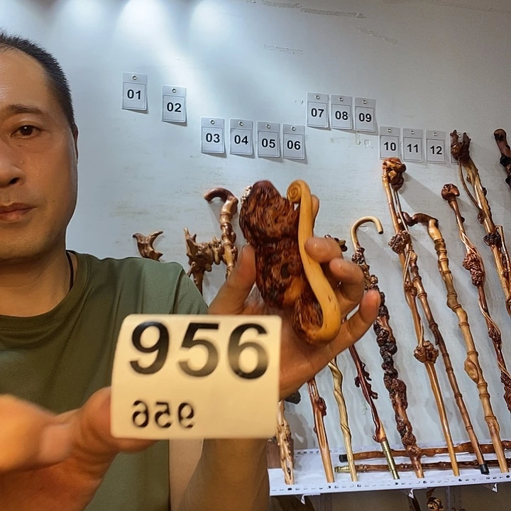 貳***誠黑果木云南黑果木树榴摆件