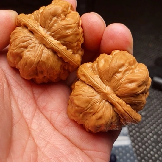 文玩核桃把件李**想蛤蟆头