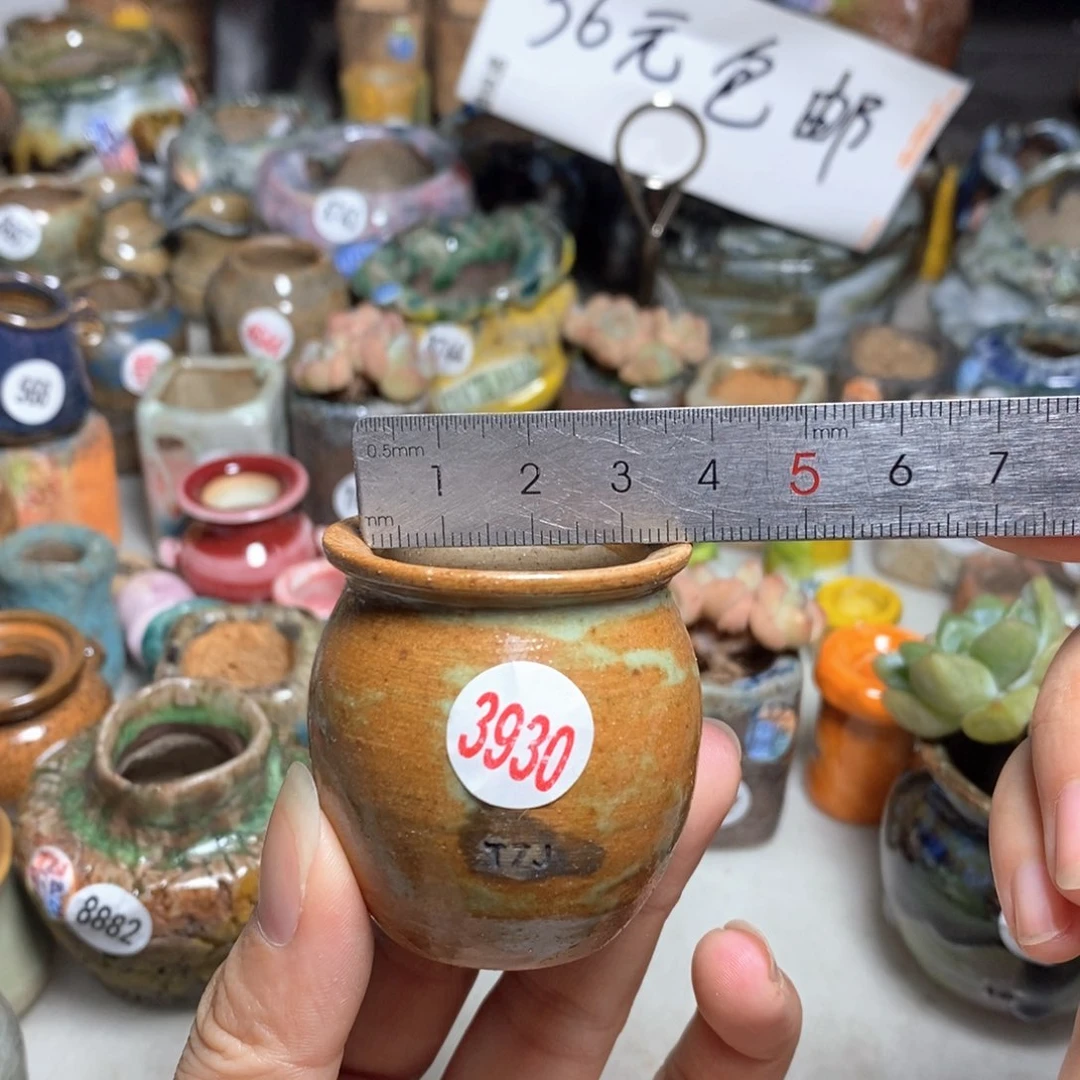 拍5送一个小礼物