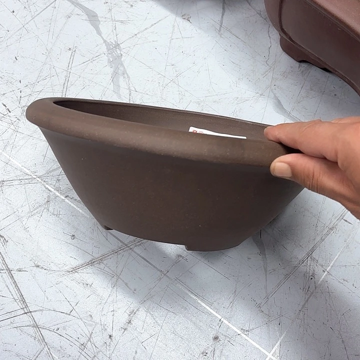 紫砂花盆紫砂的花是最漂亮