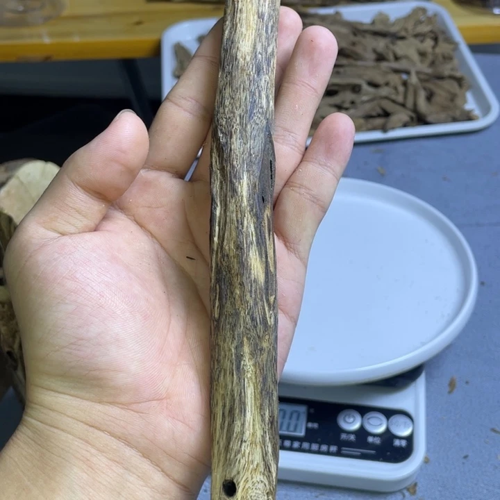 沉香沉香碎屑蓝宝石品种虫漏46克