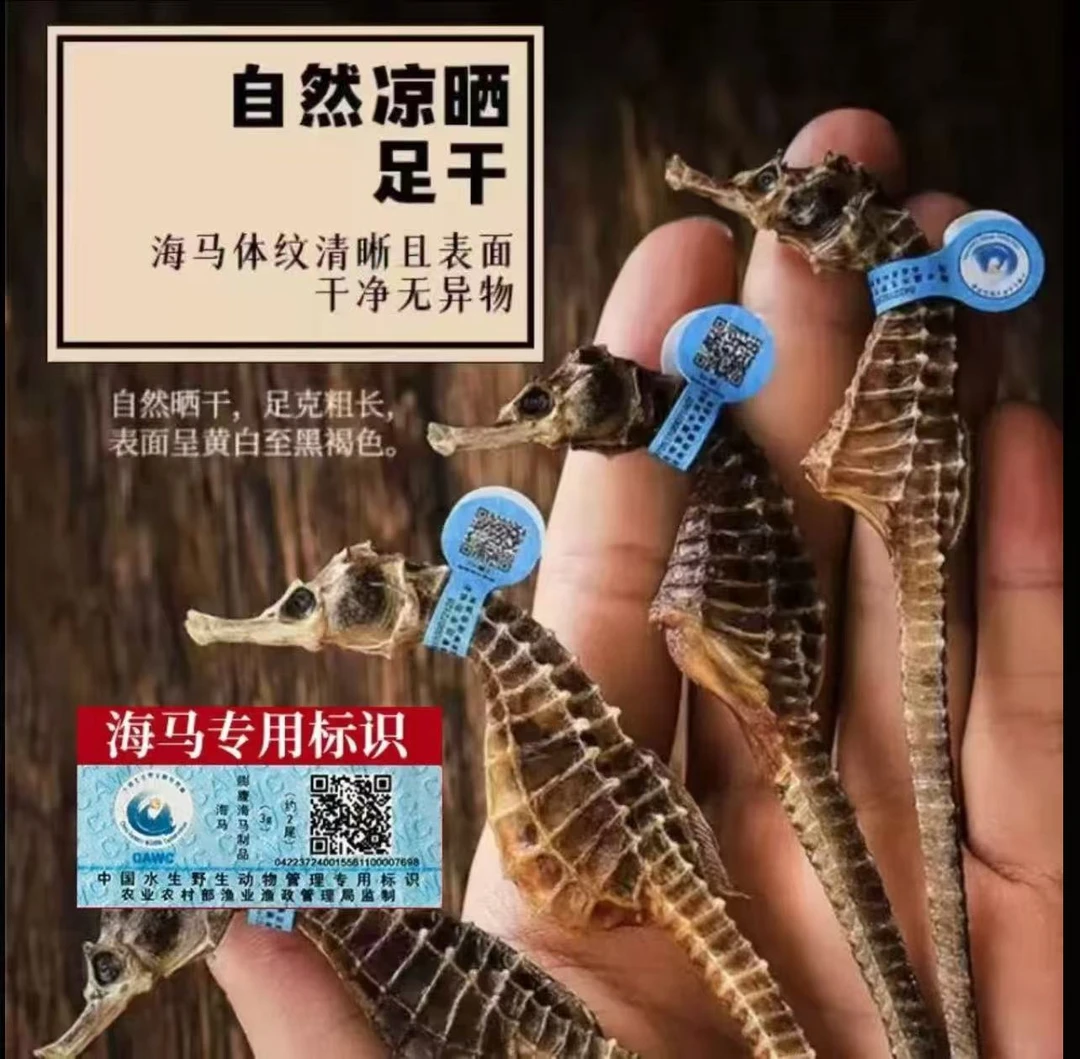 【2-3克大马】晒干中个头公母配对可溯源海马适合煲汤