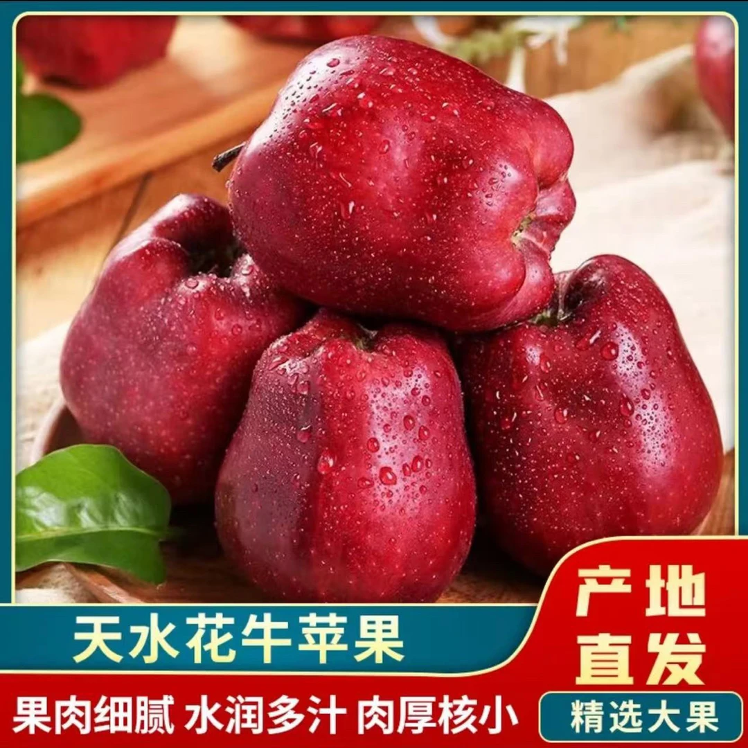 甘肃天水花牛苹果新鲜当季水果脆粉两吃红蛇果