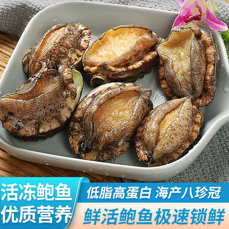 东山岛速冻鲍鱼6-8头鲍6-8cm/只海鲜水产速冻锁鲜海捕鲍鱼