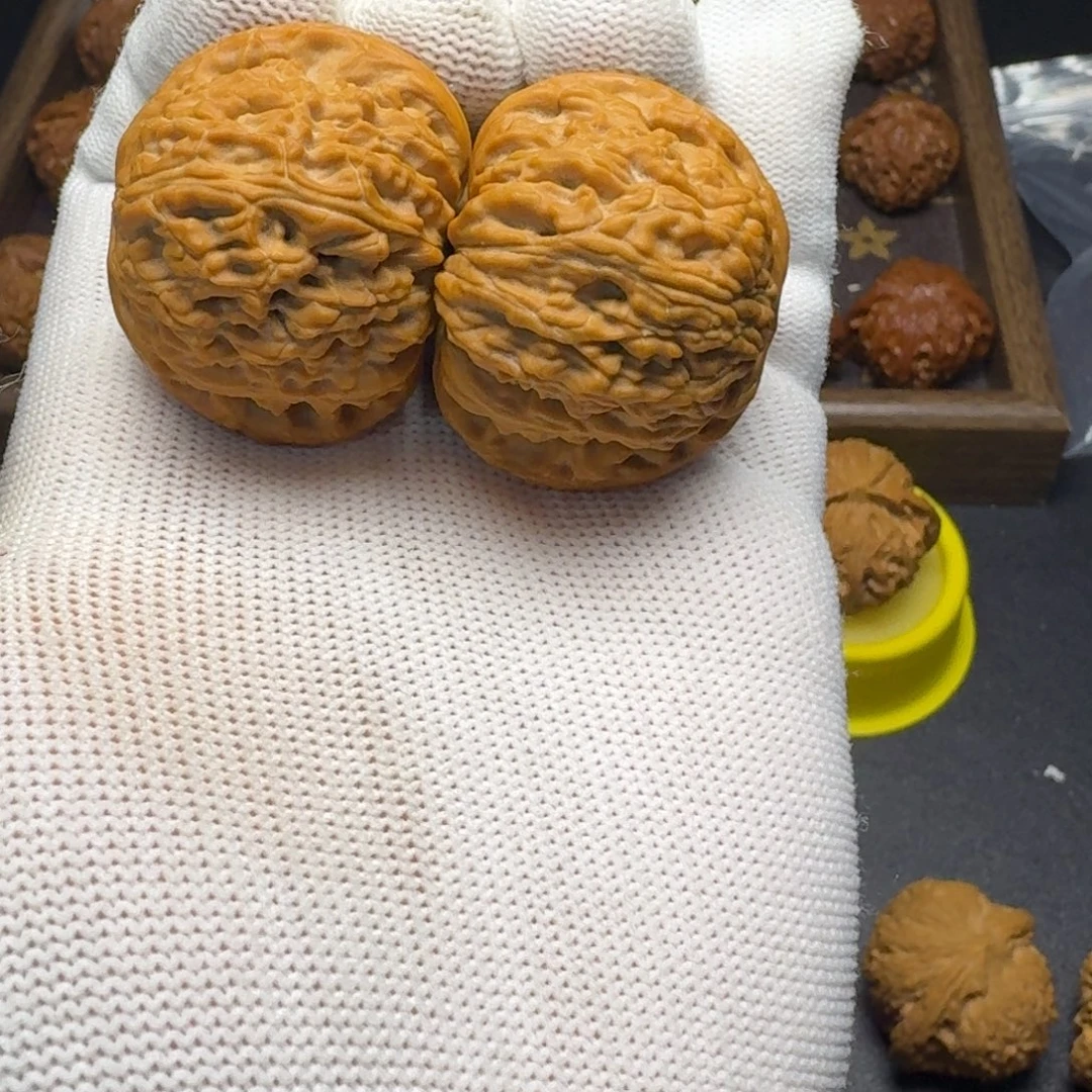 把件文玩核桃微修白狮子