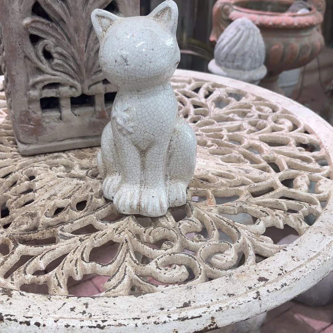 许纯的花房猫宝宝