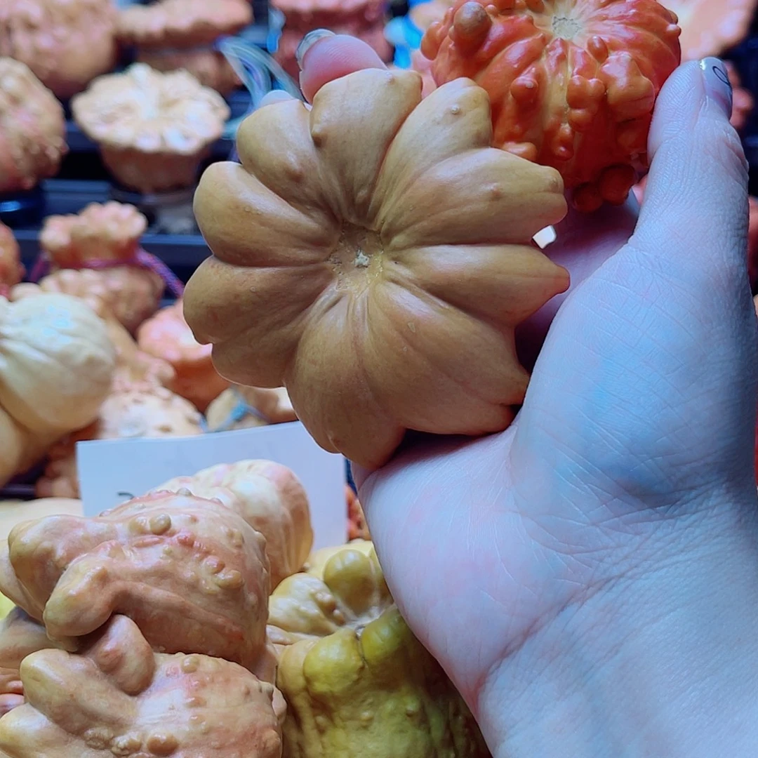 兰***若陶瓷墨西哥葫芦可盘可摆