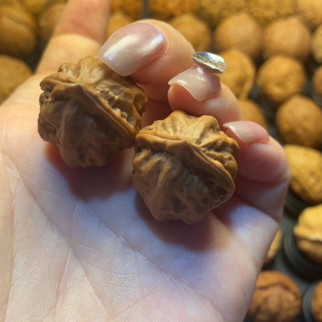 文玩核桃把件核桃
