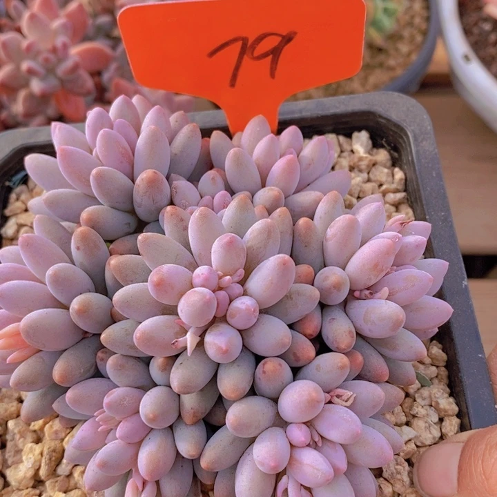 这些东西真的不是什么