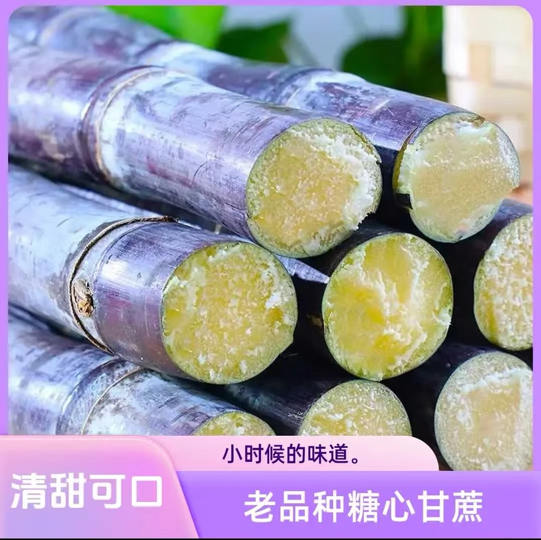 w广西新鲜现砍黑皮甘蔗脆甜多汁皮薄肉厚当季水果