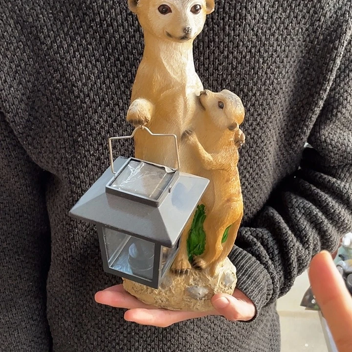 树脂样品样品样品鼠