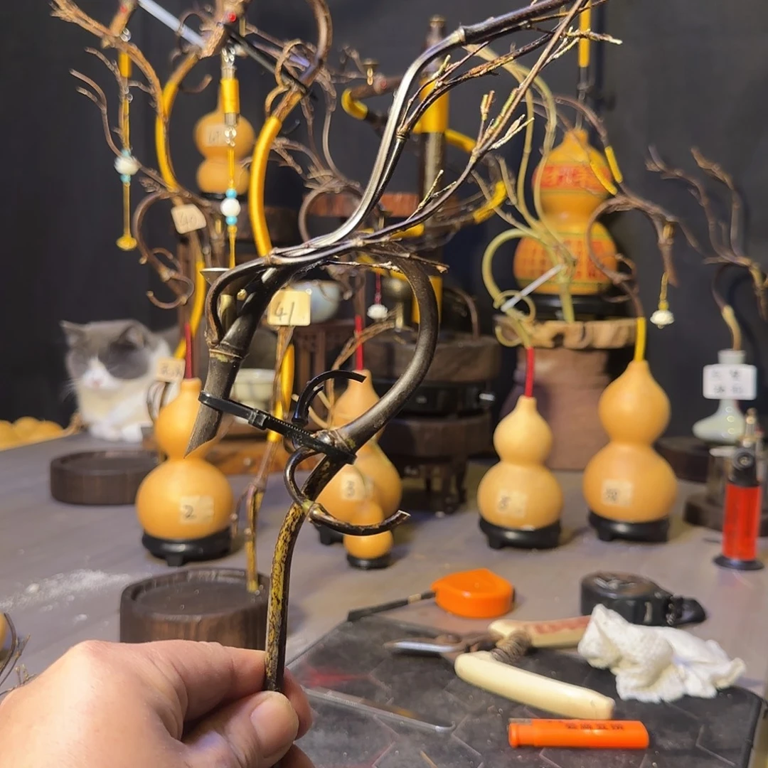 y****葫芦龙头到流香一个