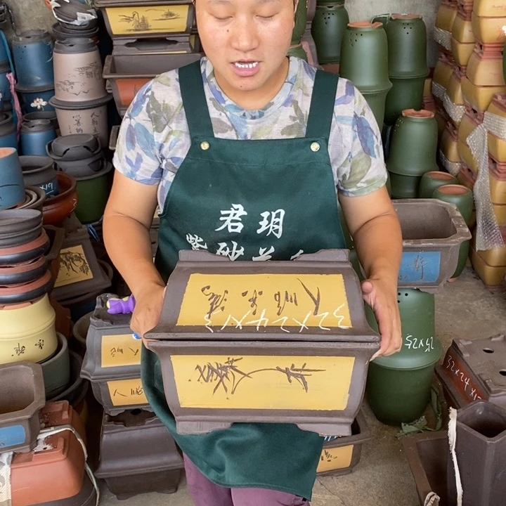 紫砂花盆盆栽花卉