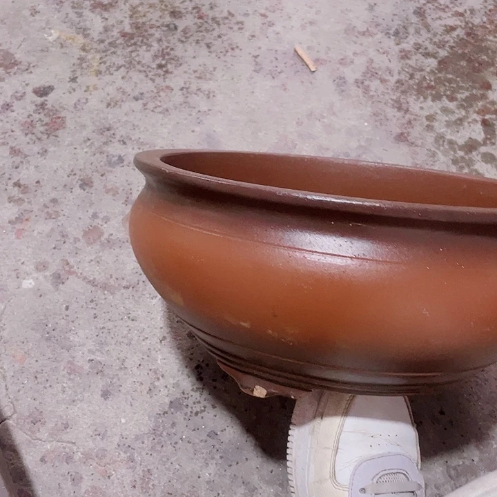 紫砂31仿古鱼缸海洋食品