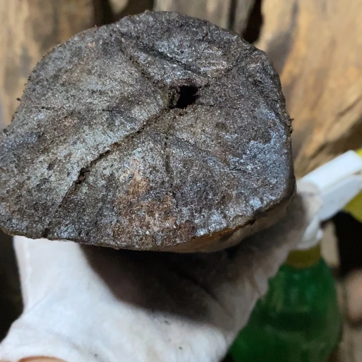 把件贡木丶*定制不退不换