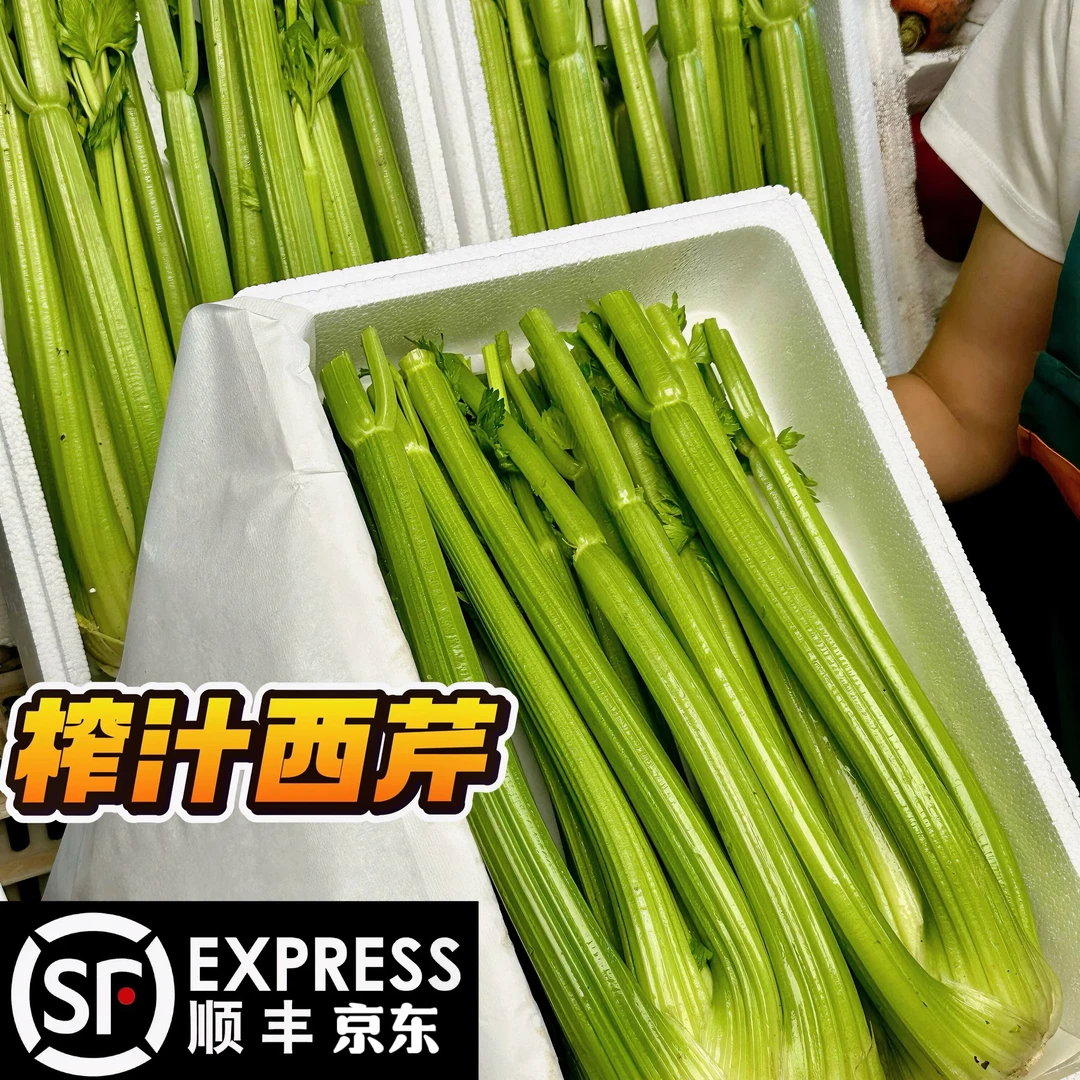山东新鲜榨汁西芹脆嫩多汁3斤5斤可生吃当季蔬菜顺丰包邮