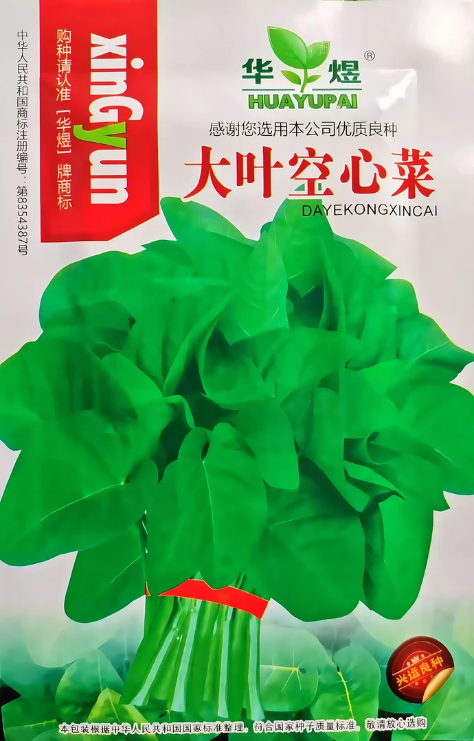 大叶空心菜菜种子适合家庭阳台盆栽种植的蔬菜种子