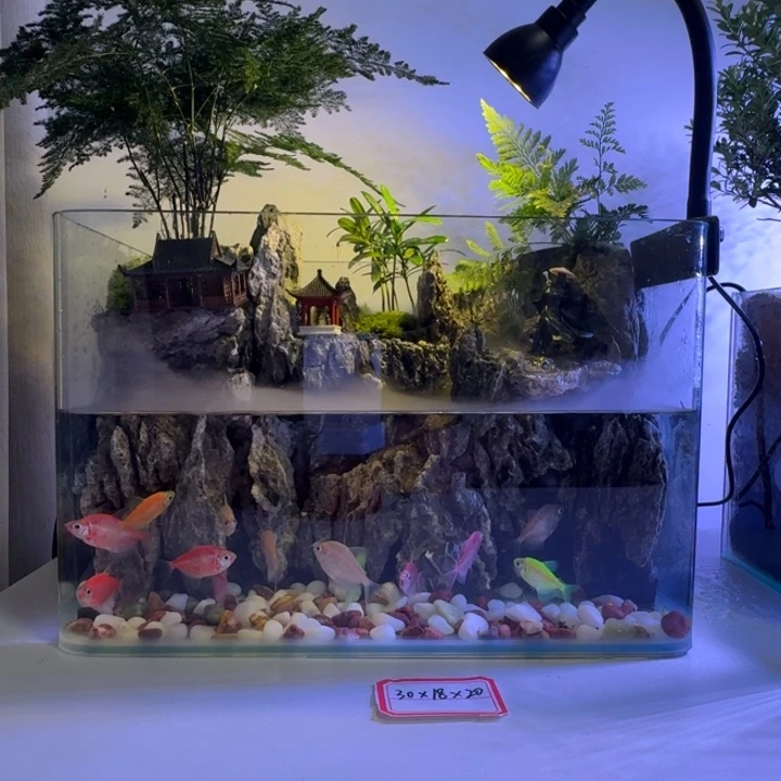 玻璃30x18x20cm桌面生态景养鱼缸