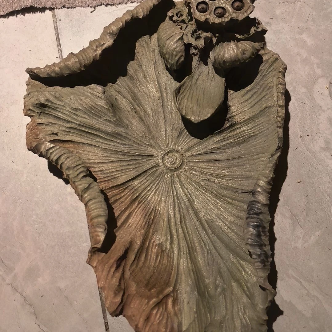 珠***观阴沉木手工壶承小叶金丝楠木。