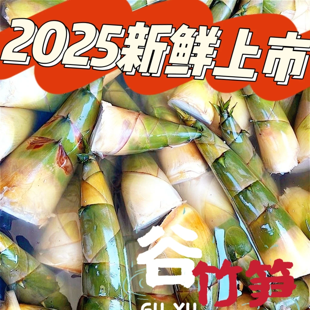 新鲜埔田竹笋现挖麻竹笋苦笋青头笋当季蔬菜直供