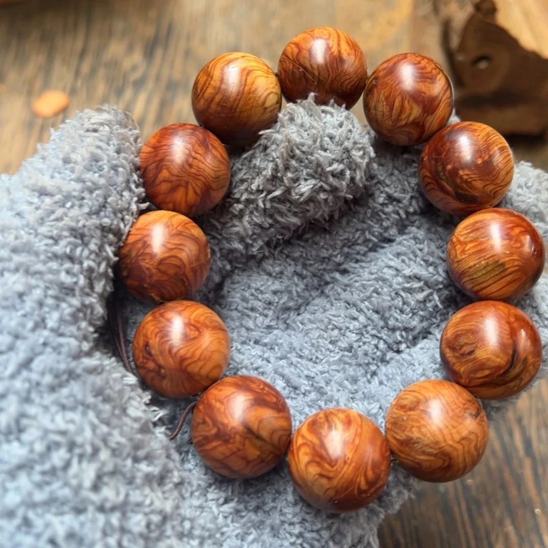 太行崖柏陈化太行