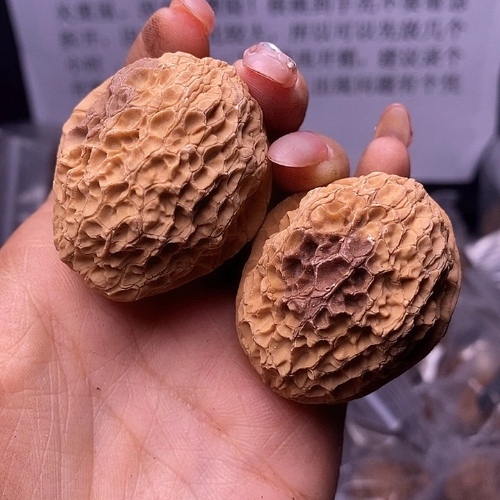 核桃云南野生铁核桃157号39mm