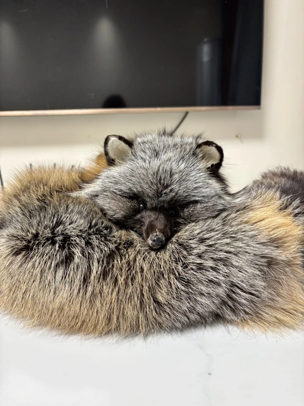 时尚女装搭配设计