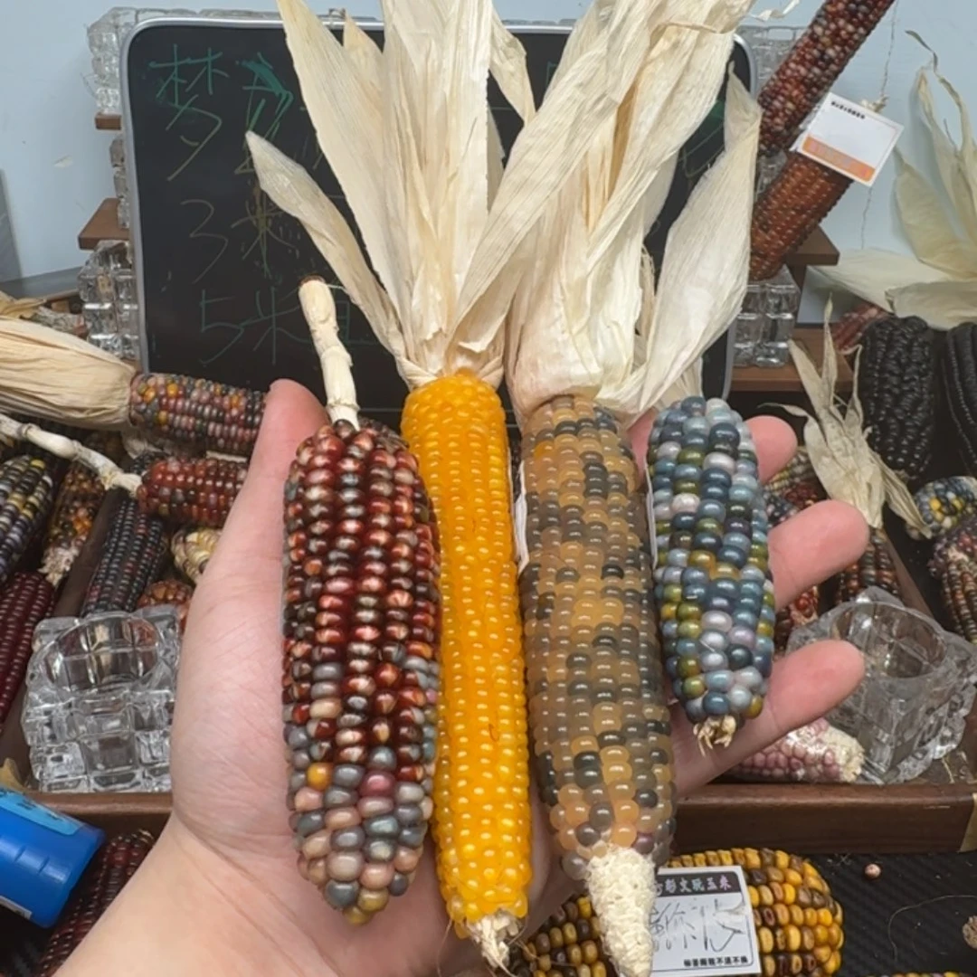 柏香籽/百香籽吊坠?**子