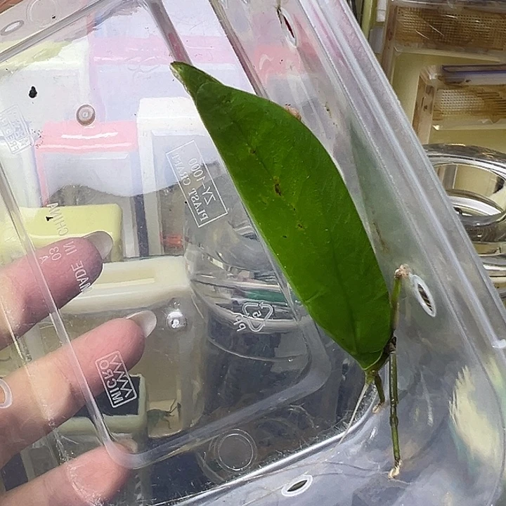 哈哈哈哈哈哈哈哈哈哈哈