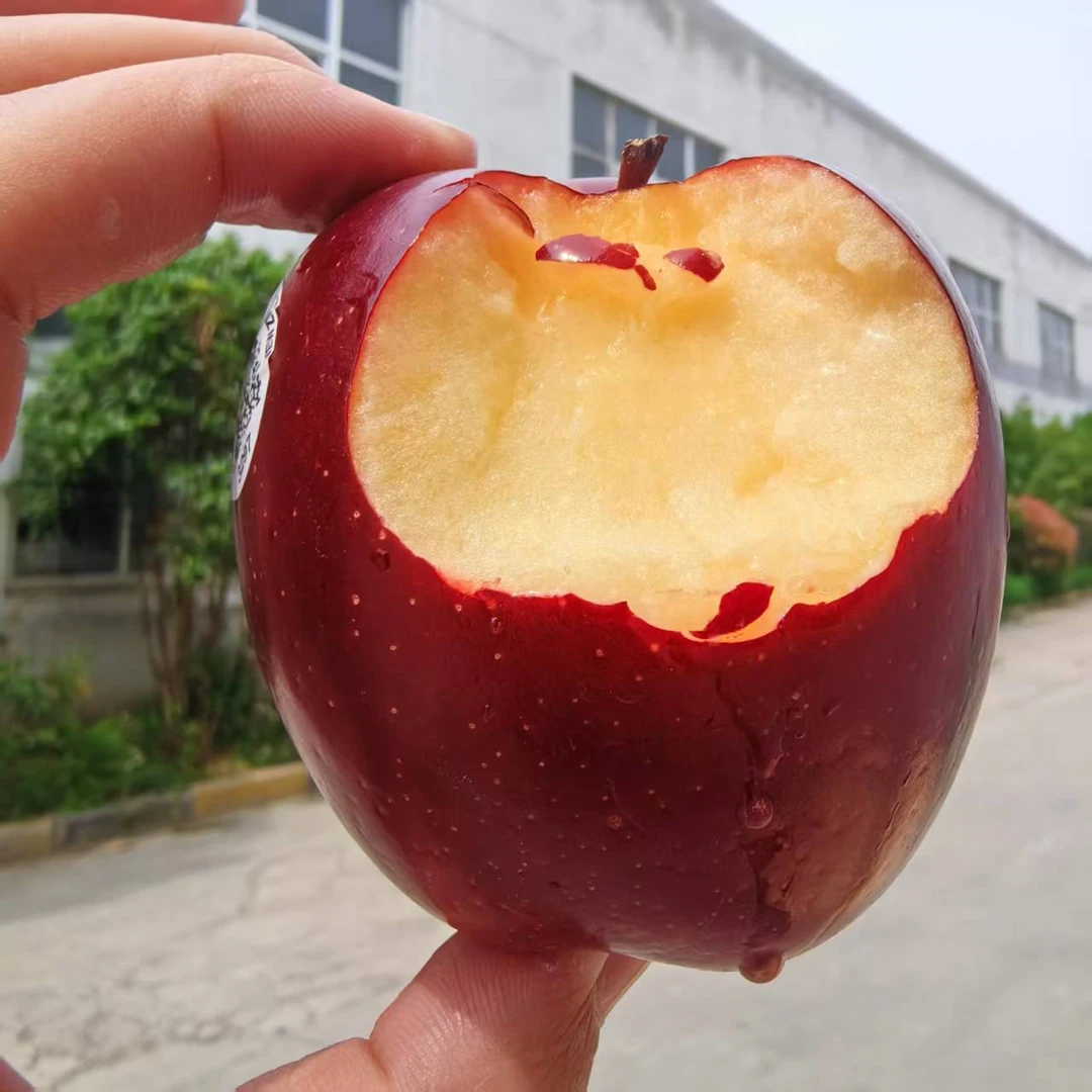 【美妈选】新西兰红玫瑰苹果3-5斤顺丰包邮