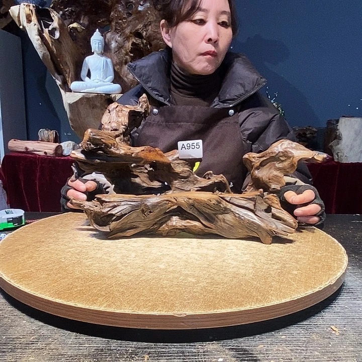 大**手955株木随行的根艺的