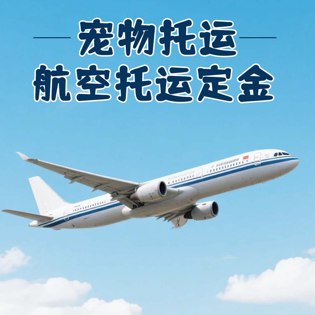 【定金】航空托运宠物单程飞服务宠物托运服务全国可接