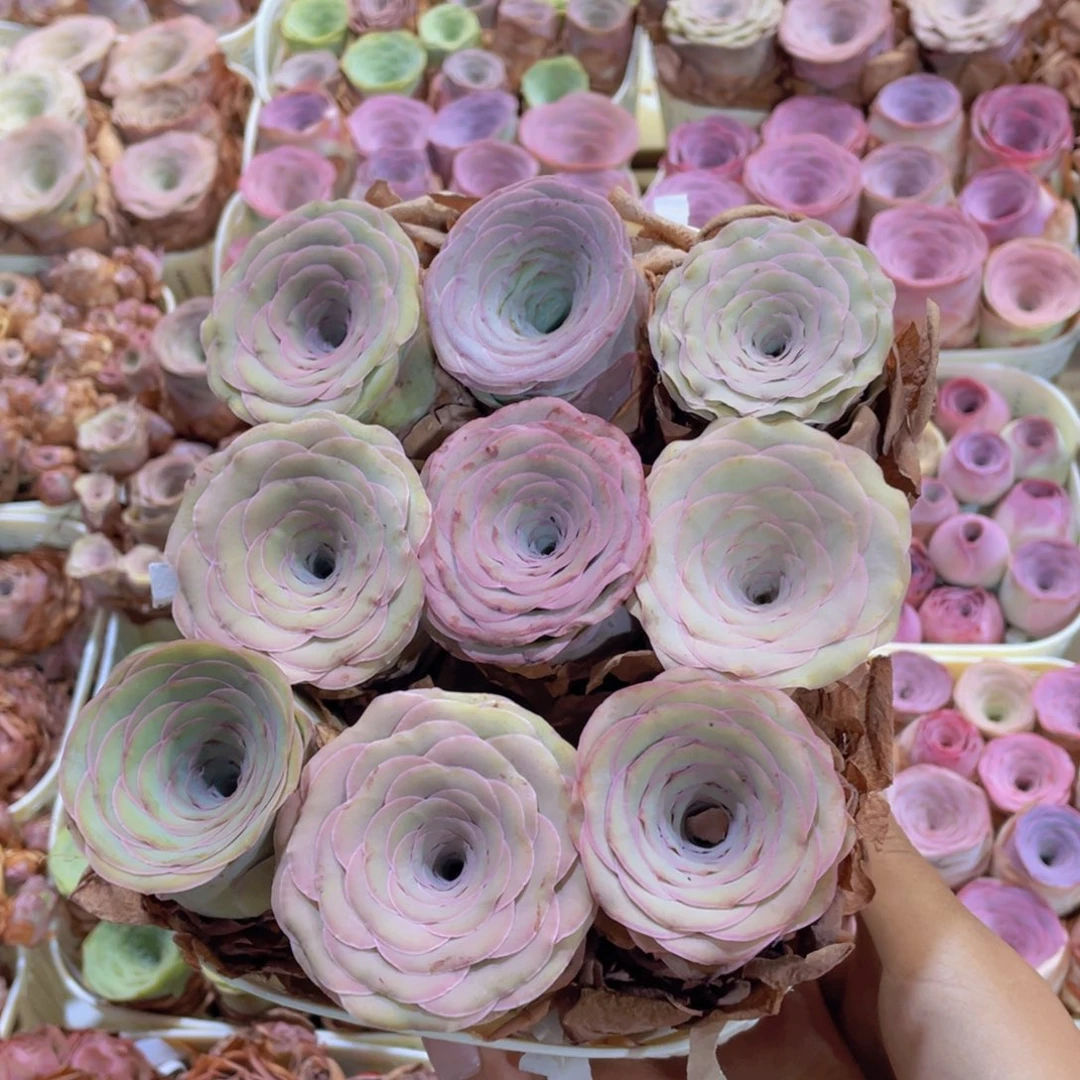 山地玫瑰花篮组合J126