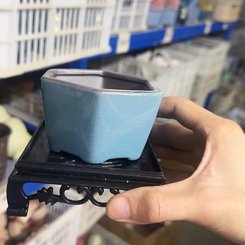 ·［送～白给塑料托盘］·4070