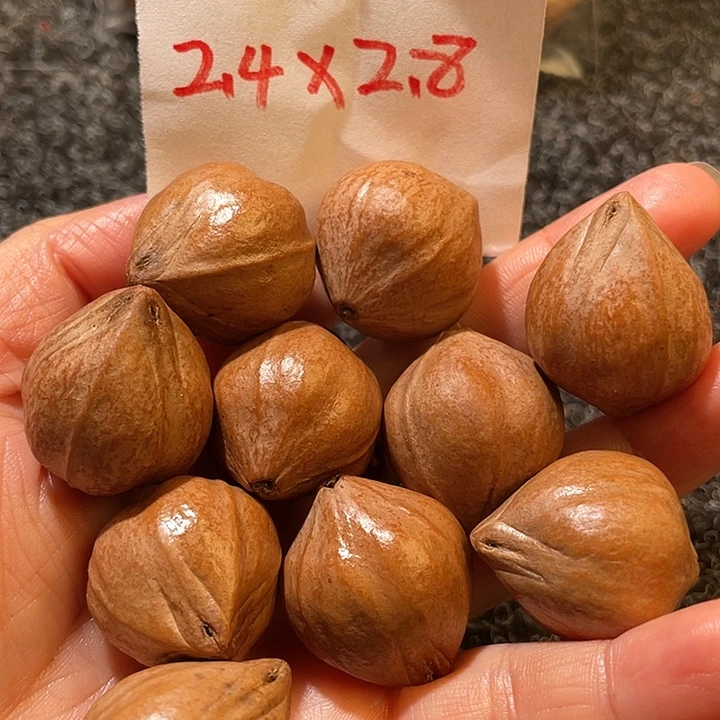 A***吊坠橄榄核2.4✖️2.8