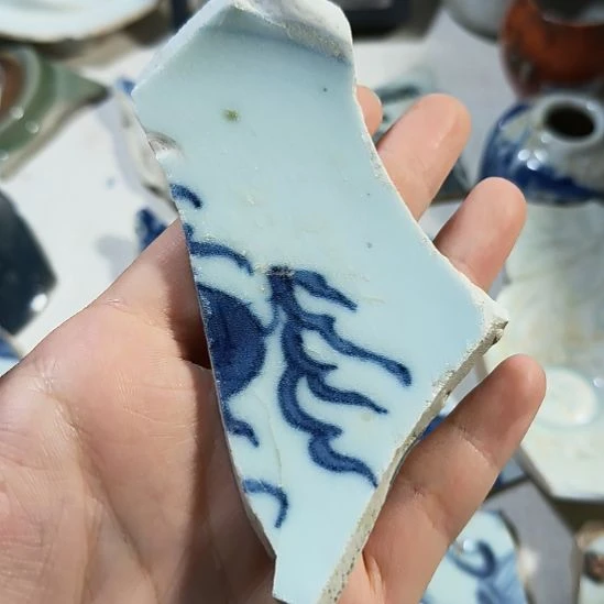机***猫瓷片瓷片瓷片瓷片瓷片
