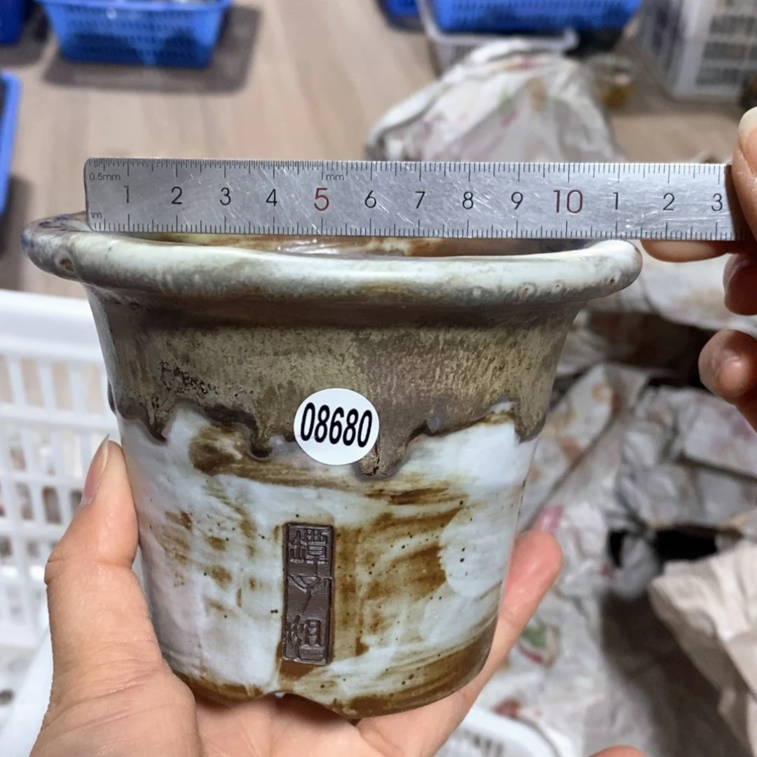 花盆拍3送一个小礼物