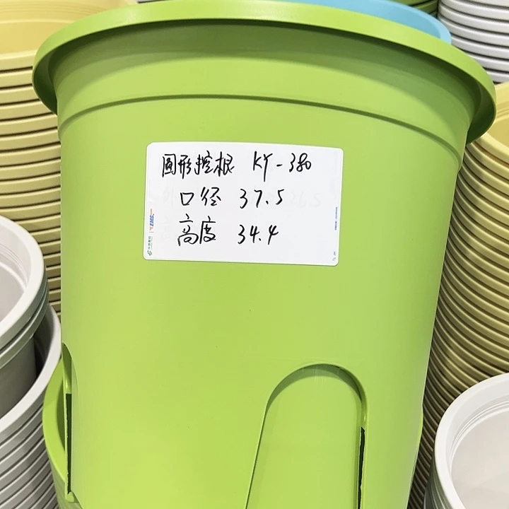 正品圆控口38高34果绿无托3只