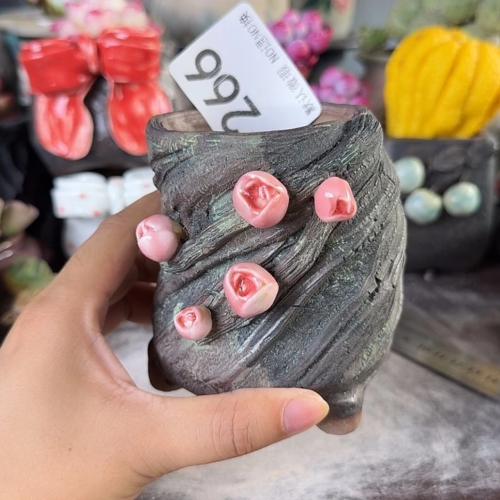 重庆小燕子欢迎大家266