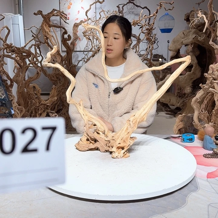 风车木（黑檀木）辉*
