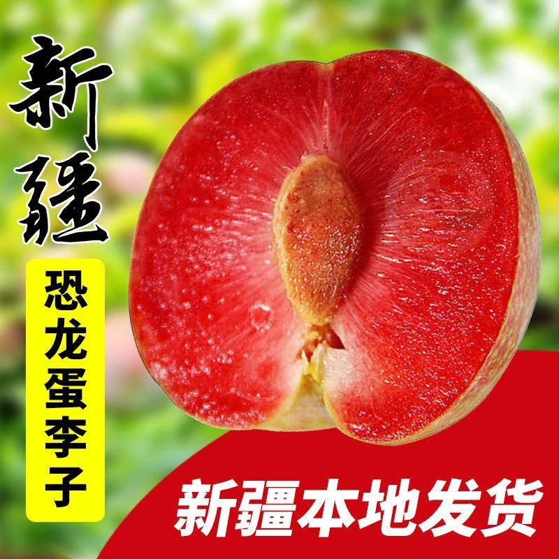 【新人专属】今天拍明天到 正宗新疆味帝恐龙蛋新鲜水果现摘超甜新鲜红肉李子孕妇新疆维吾尔自治区