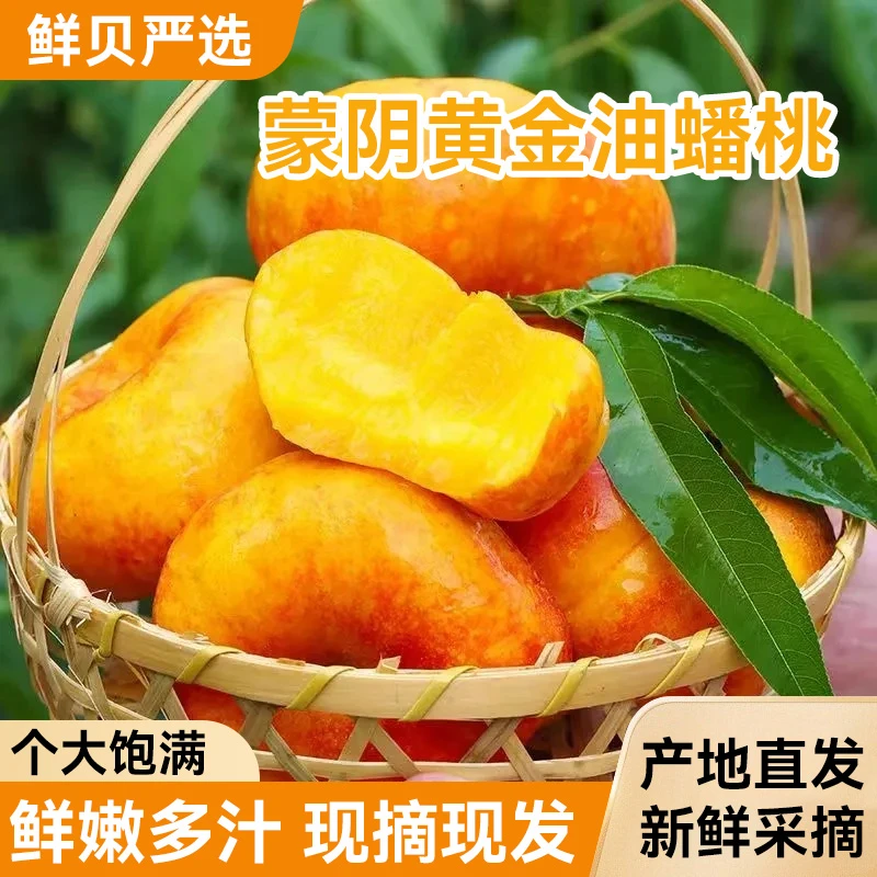 黄金油蟠桃新鲜现摘现发山东蒙阴黄桃水果黄金油蟠桃沂蒙山脆桃子
