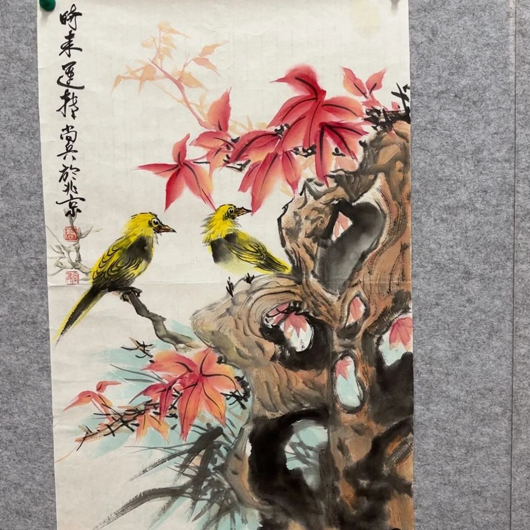 国画花鸟等多种鸟类的