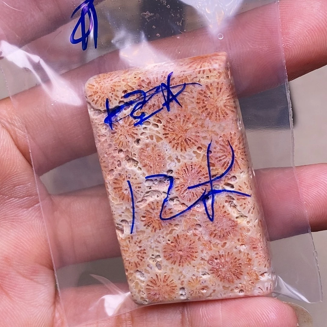 开***悟硅化玉合金珊瑚玉